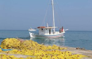 Daily Cruise in Anafi Island Cyclades